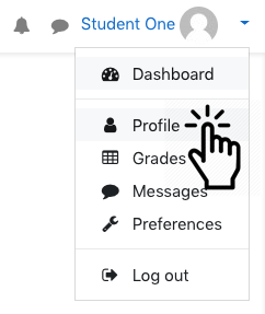 Profile access