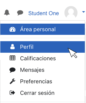 Profile access